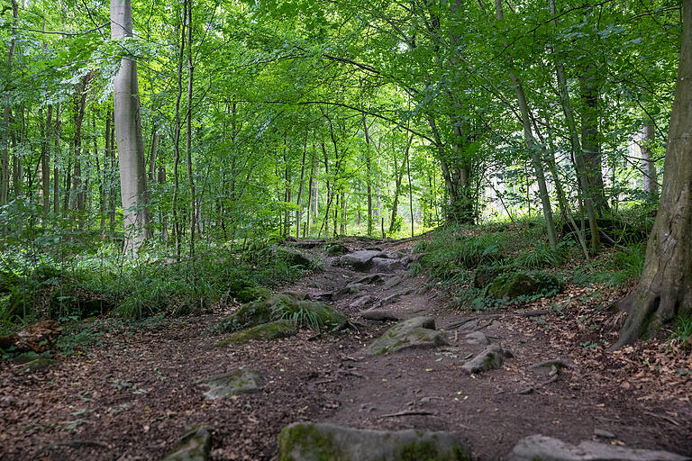 Wer mag, zieht hier Schuhe und Socken aus: der Barfußabschnitt auf der Wanderroute.