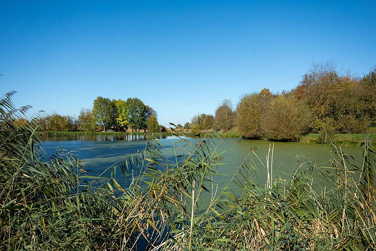 Die Rundtour bietet Naturerlebnis mit Einblicken in den Lebensraum Wasser. Die Rundtour bietet Naturerlebnis mit Einblicken in den Lebensraum Wasser. 