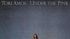CD-Tipps: Tori Amos und Bad Company