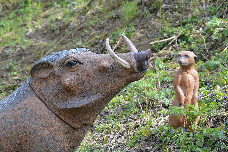 Die Jagdbogenfreunde haben Sinn für Humor. So sind auf dem Parcours auch Tiere zu finden, die aus dem Film 'Der König der Löwen' stammen könnten. Die Jagdbogenfreunde haben Sinn für Humor. So sind auf dem Parcours auch Tiere zu finden, die aus dem Film 'Der König der Löwen' stammen könnten.