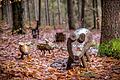 Mitten im Neuendorfer Wald, oberhalb der Grotte, in der Nähe des Kreuzes findet man die von Gustav Albert hergestellten Figuren aus Ästen und anderen Naturmaterialien.