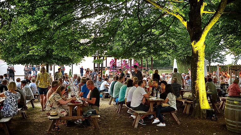 An zwei Wochenenden im Juli findet das Casteller Weinfest im Schlosspark statt.