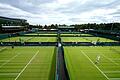 Grand-Slam-Tennis       -  Der Rasenklassiker in Wimbledon beginnt am 1. Juli.