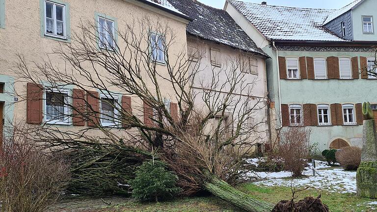 Die Wetterkapriolen führten selbst in Münnerstadt zu Schäden. Foto: Heike Beudert       -  Die Wetterkapriolen führten selbst in Münnerstadt zu Schäden. Foto: Heike Beudert