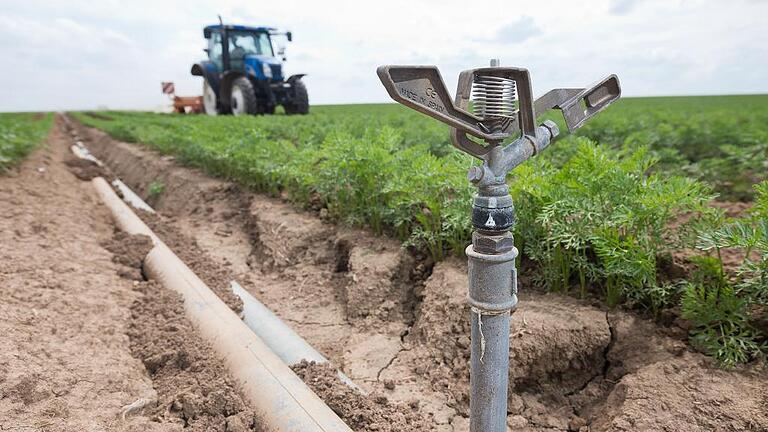 Bewässerung Gemüsefelder um Oberpleichfeld       -  Im Würzburger Norden wird das Wasser knapp. Doch ausgerechnet hier sind die Böden fruchtbar und ausgezeichnet für den Gemüseanbau geeignet. Also brauchen die Landwirte viel Wasser, damit das Gemüse wächst. Wie sie künftig Grundwasser sparen, wollen einige Landwirte nun in einer Arbeitsgruppe klären.