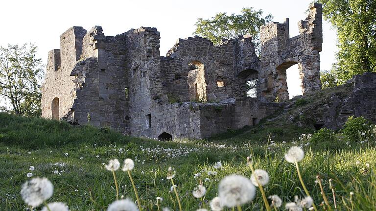 Die Burgruine Raueneck bei Ebern im Landkreis Haßberge. In einer Quelle soll hier einst eine friedliche Nixe gelebt habe. Die Burgruine Raueneck bei Ebern im Landkreis Haßberge. In einer Quelle soll hier einst eine friedliche Nixe gelebt habe.