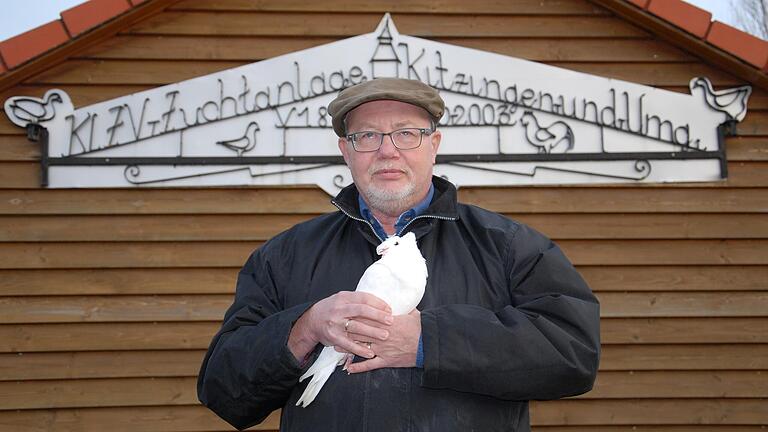 Uwe Hartmann, Vereinsvorsitzender des Kleintierzuchtvereins Kitzingen, mit einer Fränkischen Trommeltaube, vor der Zuchtanlage.&nbsp;