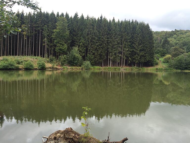 Idyllisch im Wald liegt der Rothsee.