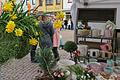 Pflanzen und Deko gab es beim Frühlingsmarkt in Bischofsheim.