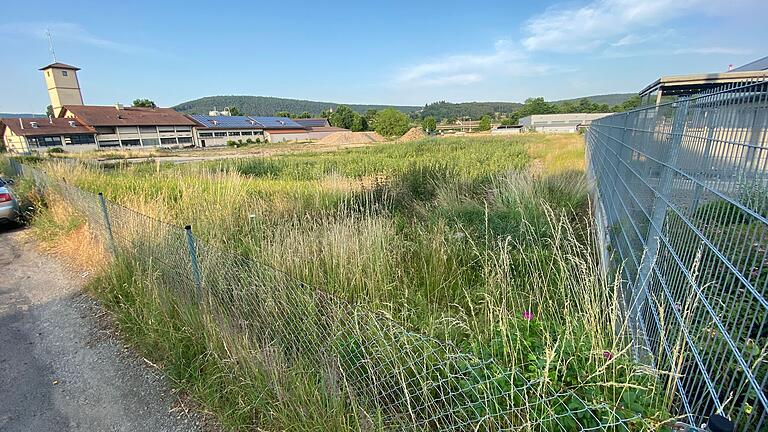 Das Gelände der ehemaligen Gärtnerei Hutzel an der Wombacher Straße. Das Gelände der ehemaligen Gärtnerei Hutzel an der Wombacher Straße.