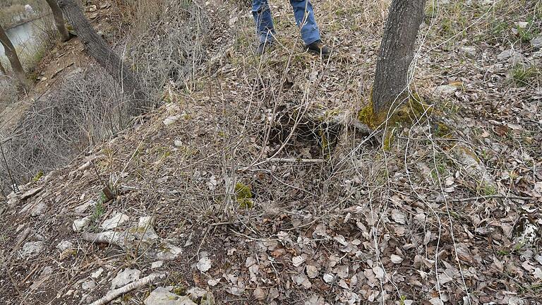 Bis zu 30 Zentimeter breite Klüfte zeugen davon, dass sich die Felsen bereits auf den Weg Richtung Abhang gemacht haben. Bis zu 30 Zentimeter breite Klüfte zeugen davon, dass sich die Felsen bereits auf den Weg Richtung Abhang gemacht haben. 