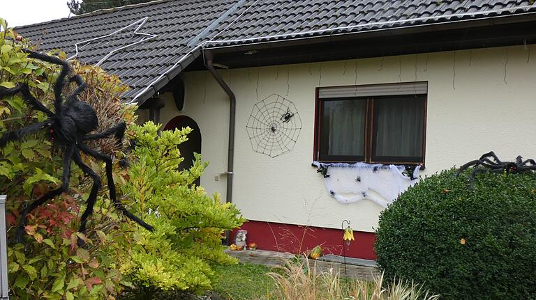 Spinnenphobiker aufgepasst: Besonders gruselig ist die schwarze Spinne (links), die ihr Netz an die Hauswand gebaut hat. Spinnenphobiker aufgepasst: Besonders gruselig ist die schwarze Spinne (links), die ihr Netz an die Hauswand gebaut hat.