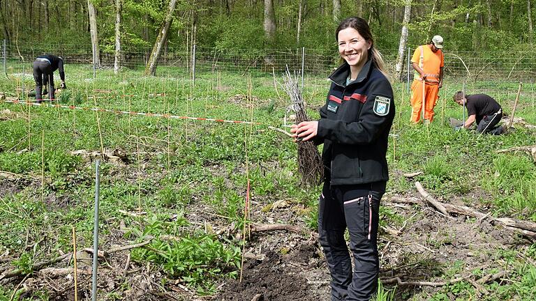 Bei den Versuchspflanzungen für mediterrane Eichenarten im Rügholz bei Eßleben organisiert Revierleiterin Selina Schott den Einsatz der Waldarbeiter.