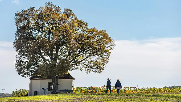  Die Gertraudiskapelle am Kapellenberg existiert dort seit 300 Jahren. Mit ihrem mächtigen Lindenbaum daneben strahlt die kleine Kirche in ihrer Schönheit weit über das Land hinaus in alle vier Himmelsrichtungen. Die Gertraudiskapelle am Kapellenberg existiert dort seit 300 Jahren. Mit ihrem mächtigen Lindenbaum daneben strahlt die kleine Kirche in ihrer Schönheit weit über das Land hinaus in alle vier Himmelsrichtungen. 
