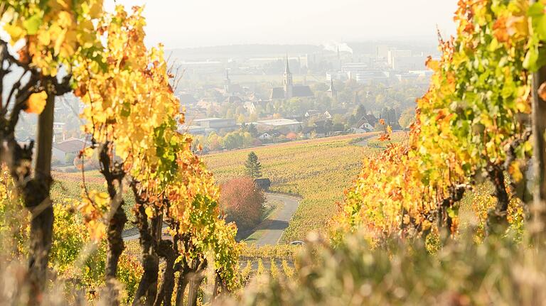 Blick durch die Weinberge auf Iphofen am Fuß des Schwanbergs. Den Befürwortern des Projekts geht es auch um den Erhalt dieser Kulturlandschaft.