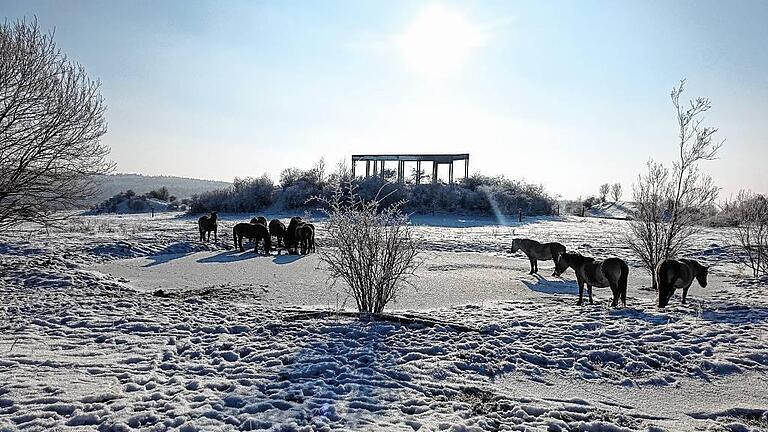 Kritik übten Landwirte an die Pferdehaltung auf dem Brönnhof.