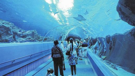 Gigantisch: Staunen können die Besucher im Georgia Aquarium ebenso wie an der 200 Kilometer langen Küste am Atlantik (Foto unten).