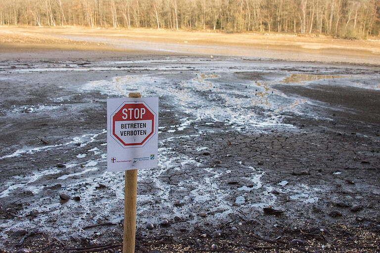 Schilder an der Uferlinie weisen auf das Betretungsverbot am Ellertshäuser See hin.