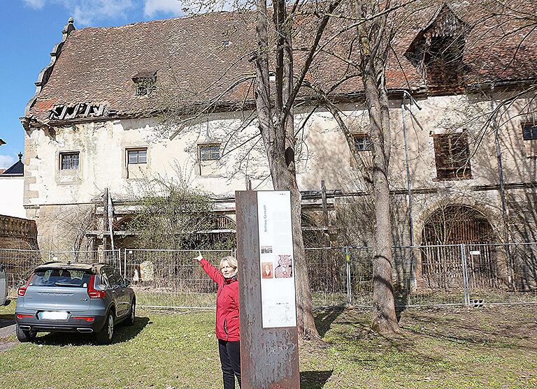 Das war vor genau einem Jahr: Gemeinderätin Marion Leonhardt aus Gereuth zeigt auf eine besonders gefährliche Stelle am den bisher dem Verfall gewidmeten Alten Schloss ihres Heimatortes Das war vor genau einem Jahr: Gemeinderätin Marion Leonhardt aus Gereuth zeigt auf eine besonders gefährliche Stelle am den bisher dem Verfall gewidmeten Alten Schloss ihres Heimatortes