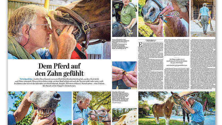 Main-Post mit neun internationalen Preisen ausgezeichnet Main-Post mit neun internationalen Preisen ausgezeichnet