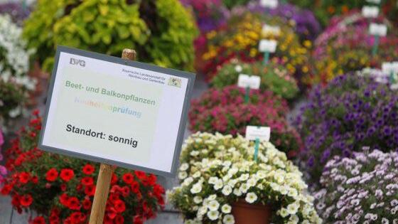 Auf den Standort kommt es an: Nach erfolgreichem Abschluss geben die Teilnehmerinnen und Teilnehmer der Zertifizierung ihr Fachwissen kompetent an interessierte Gartenbesucher weiter.&nbsp;