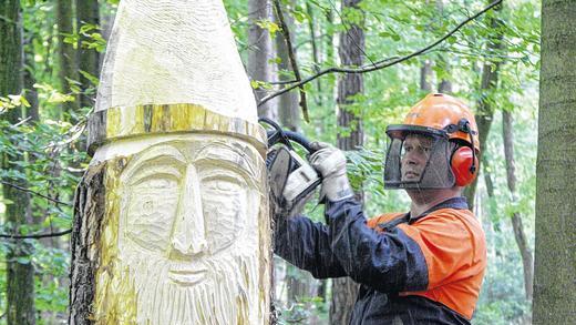 Theinheimer Waldgeister bekommen Zuwachs - (sw) Seit 2008 ist der Waldgeisterweg in Theinheim beliebtes Ausflugsziel. Jetzt wird er zwar nicht verlängert, aber dennoch erweitert. Initiator Michael Bayer konnte eine Künstlergruppe um den Gerolzhöfer Bildhauer Florian Tully für ein Künstlersymposium gewinnen, und so werden am Wochenende am Waldgeisterweg neue Skulpturen entstehen. Vor sechs Jahren entstand der Waldgeisterweg als Idee von Gastwirt Michael Bayer, die von der Bayerischen Staatsforstverwaltung gerne aufgegriffen wurde. Bestimmte Bäume, die ohnehin zur Fällung anstanden, wurden in größerer Höhe abgeschnitten: Aus den Baumstümpfen schufen Dietmar Herold (Foto) und Adam Müller geheimnisvolle Fabelwesen, Tiere und Pflanzen am Wegesrand. Schon damals schwebte Bayer vor, den Skulpturenweg in dem Steigerwalddorf immer wieder zu erweitern. Und nun gelang es, nationale und internationale Künstler für dieses Projekt zu gewinnen. Florian Tully vermittelte den Kontakt zu Rudolf Schneidmadel aus Ebelsbach, Jan Svadlenka und Jiri Genzer aus Prag. Sie haben schon Eisskulpturen in Dänemark und Sandskulpturen auf Rügen geschaffen. Nun wollen sie im Wald bei Theinheim ihr Können unter Beweis stellen und lassen sich dabei über die Schulter schauen. Am Samstag, 17., und am Sonntag, 18. Mai, finden jeweils um 14 Uhr geführte Wanderungen mit dem früheren Förster Armin Remmele statt, der Interessantes über den Wald erzählt. Auf dem Weg können die Teilnehmer erleben, wie neue Skulpturen entstehen. Theinheimer Waldgeister bekommen Zuwachs - (sw) Seit 2008 ist der Waldgeisterweg in Theinheim beliebtes Ausflugsziel. Jetzt wird er zwar nicht verlängert, aber dennoch erweitert. Initiator Michael Bayer konnte eine Künstlergruppe um den Gerolzhöfer Bildhauer Florian Tully für ein Künstlersymposium gewinnen, und so werden am Wochenende am Waldgeisterweg neue Skulpturen entstehen. Vor sechs Jahren entstand der Waldgeisterweg als Idee von Gastwirt Michael Bayer, die von der Bayerischen Staatsforstverwaltung gerne aufgegriffen wurde. Bestimmte Bäume, die ohnehin zur Fällung anstanden, wurden in größerer Höhe abgeschnitten: Aus den Baumstümpfen schufen Dietmar Herold (Foto) und Adam Müller geheimnisvolle Fabelwesen, Tiere und Pflanzen am Wegesrand. Schon damals schwebte Bayer vor, den Skulpturenweg in dem Steigerwalddorf immer wieder zu erweitern. Und nun gelang es, nationale und internationale Künstler für dieses Projekt zu gewinnen. Florian Tully vermittelte den Kontakt zu Rudolf Schneidmadel aus Ebelsbach, Jan Svadlenka und Jiri Genzer aus Prag. Sie haben schon Eisskulpturen in Dänemark und Sandskulpturen auf Rügen geschaffen. Nun wollen sie im Wald bei Theinheim ihr Können unter Beweis stellen und lassen sich dabei über die Schulter schauen. Am Samstag, 17., und am Sonntag, 18. Mai, finden jeweils um 14 Uhr geführte Wanderungen mit dem früheren Förster Armin Remmele statt, der Interessantes über den Wald erzählt. Auf dem Weg können die Teilnehmer erleben, wie neue Skulpturen entstehen.