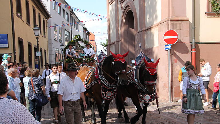 Mit einem großen Festzug durch die Stadt zur Martinswiese wurde die Eröffnung der Laurenzi-Messe in Marktheidenfeld gefeiert. Hier der von vier Rössern gezogene Bierwagen.