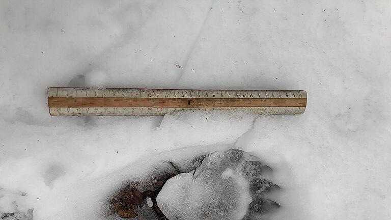 380038214.jpeg       -  Für das Landesamt für Umwelt war klar, dass diese Spuren im Landkreis Miesbach zu einem Braunbären gehören. Unklar ist, ob dasselbe Tier nun die Schafe in Oberaudorf gerissen hat.