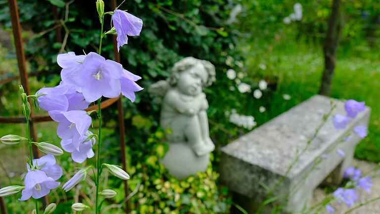 Glockenblumen und himmlische Boten gehören zu den Hinguckern im Garten der Familie Dahinten. Glockenblumen und himmlische Boten gehören zu den Hinguckern im Garten der Familie Dahinten.