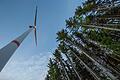 Bis zu 40 weitere Windräder, wie beispielsweise hier im Sailershäuser Wald, könnten künftig in der Region für klimafreundliche Energie sorgen (Archivbild).