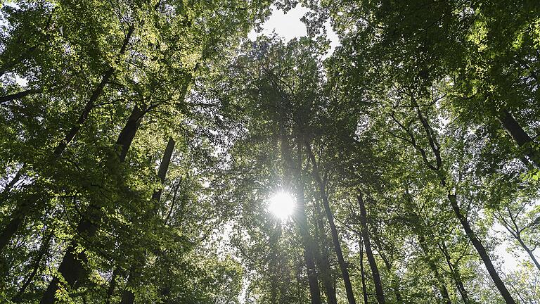 Die Initiative 'German Zero' sucht in ganz Deutschland Klimaschützer, die dabei unterstützen, das Thema in ihren Kommunen auf die politische Agenda zu setzen. Symbolfoto