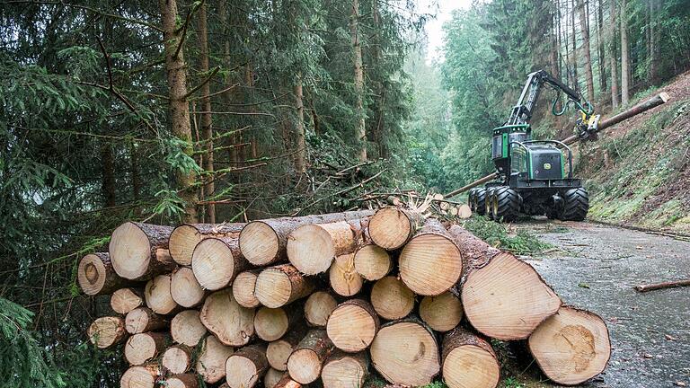 Borkenkäfer-Taskforce im Frankenwald       -  Durch den Borkenkäfer geschädigtes Holz muss so schnell wie möglich aus dem Wald.