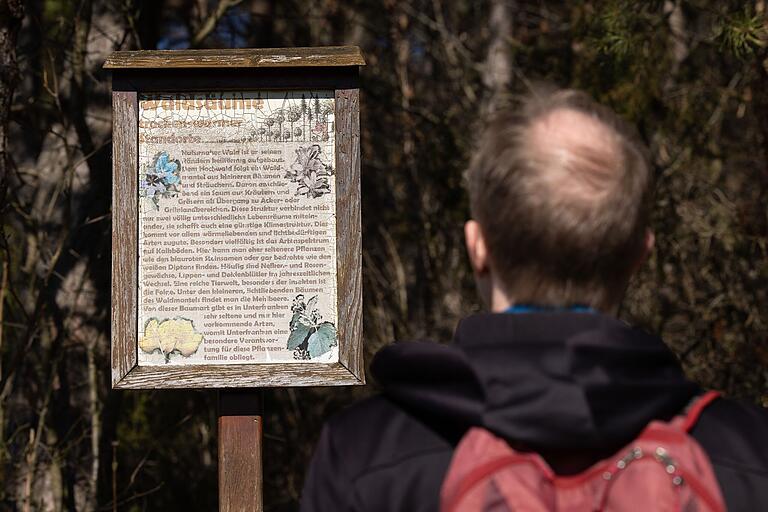Auf dem Fuchsstädter Natur- und Kulturlehrpfad erzählen etliche Tafeln von der Entwicklung des Waldes, dem Leben früherer Generationen und naturgeschichtlichen Ereignissen.