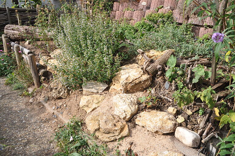 Sandbänke en miniature laden bei heißem Wetter Eidechsen zum Sonnbad ein.