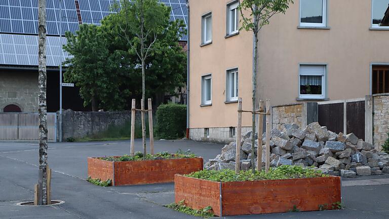 Dorfbegrünung in Burgerroth: erste Bäume sind gepflanzt, die Umrandung ist derzeit noch provisorisch, auch der Standort des Maibaumes (links am Bildsrand) steht zur Disposition.