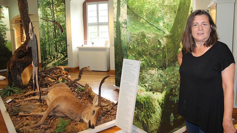 Wald und Jagd sind wichtige Themen des Spessartmuseums im Lohrer Schloss, das von Barbara Grimm geleitet wird.&nbsp;