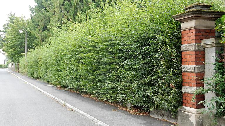 Der Fußgänger muss in der Gartenstraße auf die Straße. Hier sieht das Rathaus eine große Unfallgefahr. Der Fußgänger muss in der Gartenstraße auf die Straße. Hier sieht das Rathaus eine große Unfallgefahr.
