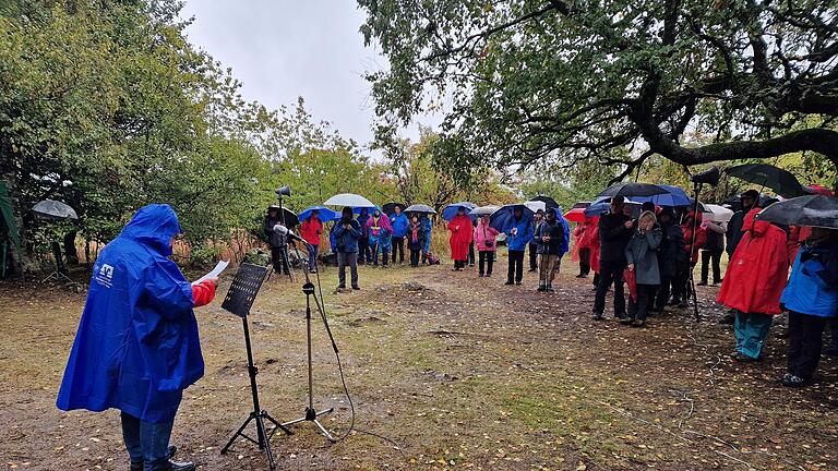 Die 99. Heidelsteinfeier des Rhönklubs fand bei strömendem Regen statt. Foto: Marion Eckert       -  Die 99. Heidelsteinfeier des Rhönklubs fand bei strömendem Regen statt. Foto: Marion Eckert