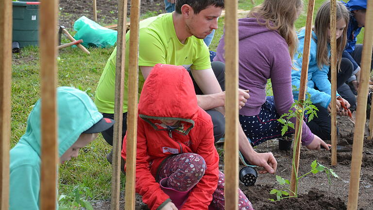 Dominik Maierhöfer von der AWO-Gärtnerei Maingarten leitet die Kinder beim Pflanzen an.