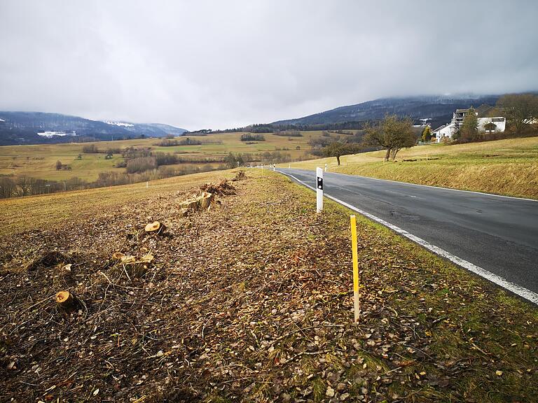 Die Obstbäume sind gefällt. Mit der Sanierung der Straße zwischen Sandberg und Waldberg geht es am 11. April los. Die Obstbäume sind gefällt. Mit der Sanierung der Straße zwischen Sandberg und Waldberg geht es am 11. April los.