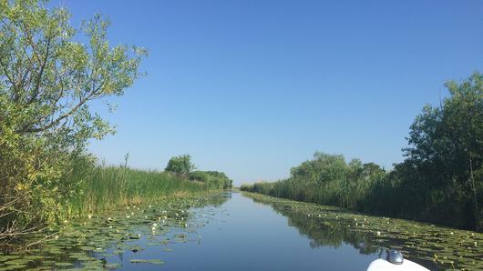 In kleinen Booten reiste die Gruppe durch die von Seerosen gesäumten Kanäle des Donaudeltas.