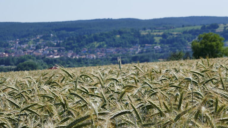 Garagen statt Getreide: Ebelsbach ist als Wohnort so begehrt, dass sich die Siedlungsgrenze immer weiter Haßberge hinauf verschiebt - bis immer näher an den Herrenwald. Das sorgt auch für Belastungen in der Kommune.