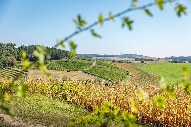 Die aufsteigenden Weinberge, landwirtschaftliche Flächen und Wald prägen das Ortsbild von Kembach. Die aufsteigenden Weinberge, landwirtschaftliche Flächen und Wald prägen das Ortsbild von Kembach.