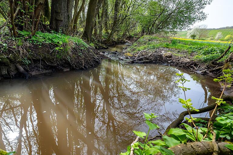 An dieser Stelle ereignete sich die Rettungstat. Im Hintergrund ist das Zulaufgitter zu sehen, das der Mann und der Junge von Ästen und Laub säubern wollten. Das Wasser ist an der Stelle über einen Meter tief.