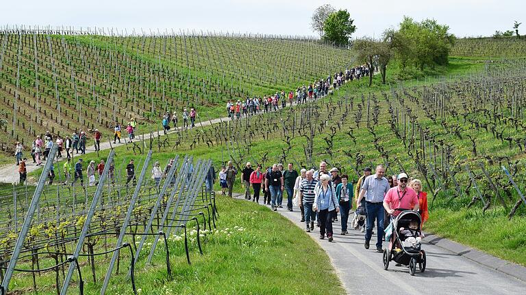 Rund 250 Wanderlustige nahmen an der Landkreiswanderung auf der 'TraumRunde' in Dettelbach teil. Rund 250 Wanderlustige nahmen an der Landkreiswanderung auf der 'TraumRunde' in Dettelbach teil.