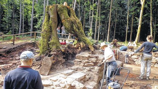 Gefälltes Wahrzeichen: Der vom Sturm geschädigte Baumriese, das ehemalige Wahrzeichen von Kloster Einsiedel, musste im vergangenen Jahr gefällt werden. Unter dem Wurzelwerk wurde vorsichtig der Altarsockel freigelegt. Gefälltes Wahrzeichen: Der vom Sturm geschädigte Baumriese, das ehemalige Wahrzeichen von Kloster Einsiedel, musste im vergangenen Jahr gefällt werden. Unter dem Wurzelwerk wurde vorsichtig der Altarsockel freigelegt.