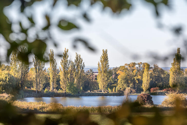Unterwegs auf dem rund neun Kilometer langen Wanderweg 'Ums Mahlholz' rund um Gerolzhofen. Zum Ende der Tour läuft man am Neuen See vorbei. Unterwegs auf dem rund neun Kilometer langen Wanderweg 'Ums Mahlholz' rund um Gerolzhofen. Zum Ende der Tour läuft man am Neuen See vorbei.