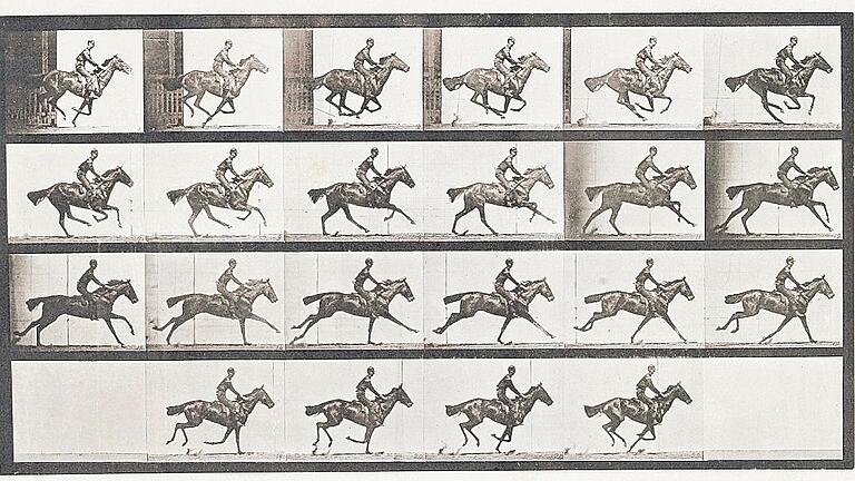 Zeigt das Foto die Wirklichkeit? Eadweard Muybridges Fotoserie &bdquo;Galopping&ldquo; von 1887. In keiner Phase streckt das Pferd alle vier Beine aus.