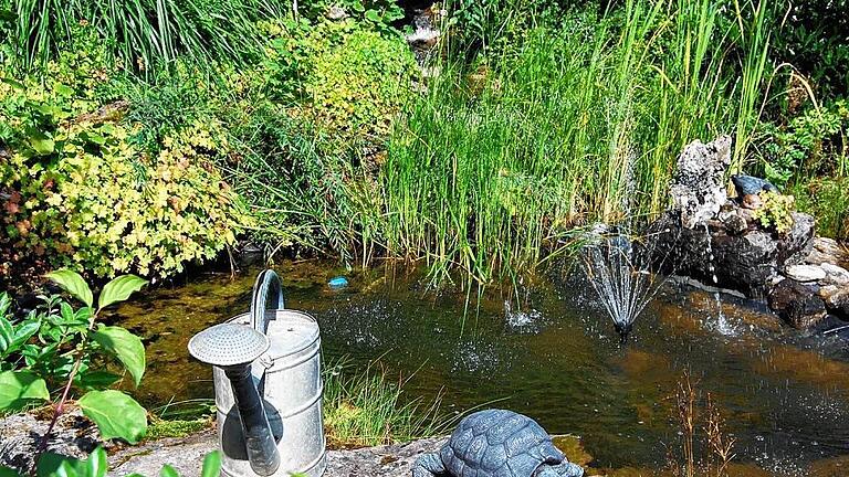 Teich mit ausgetüfteltem Wasser-Versorgungssystem. Teich mit ausgetüfteltem Wasser-Versorgungssystem.