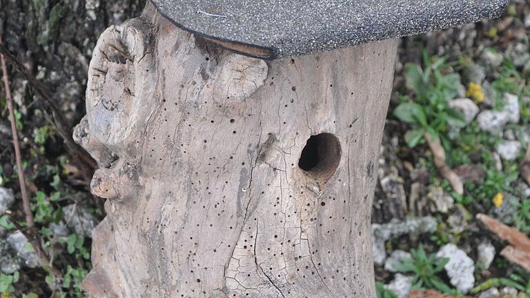 Natur-Nistkasten: Hohler Baumstamm mit Deckel und Fuß